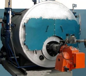 Low Pressure Steam Boiler